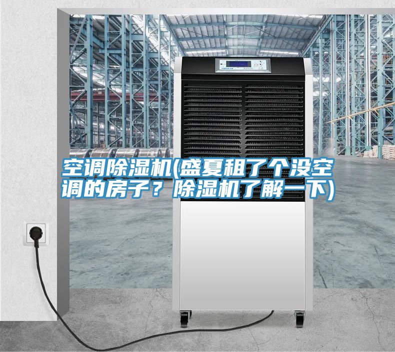 空調(diào)除濕機(jī)(盛夏租了個沒空調(diào)的房子？除濕機(jī)了解一下)
