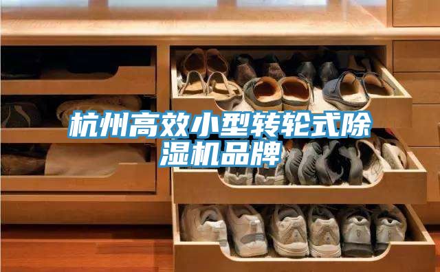 杭州高效小型轉(zhuǎn)輪式除濕機(jī)品牌