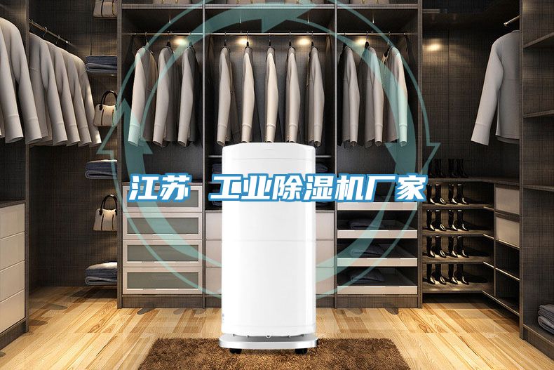 江蘇 工業(yè)除濕機(jī)廠家