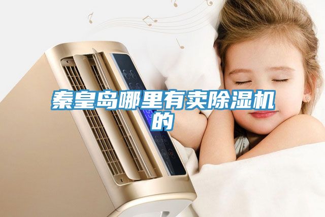秦皇島哪里有賣除濕機的