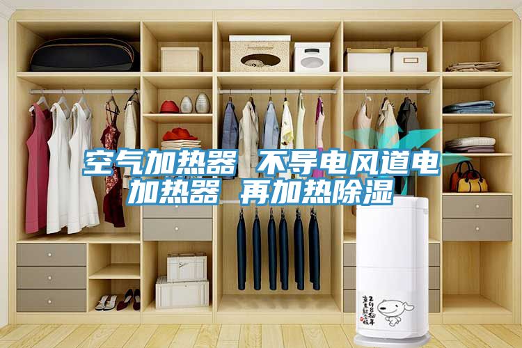 空氣加熱器 不導(dǎo)電風(fēng)道電加熱器 再加熱除濕