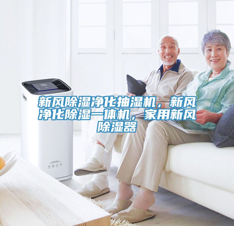 新風除濕凈化抽濕機，新風凈化除濕一體機，家用新風除濕器