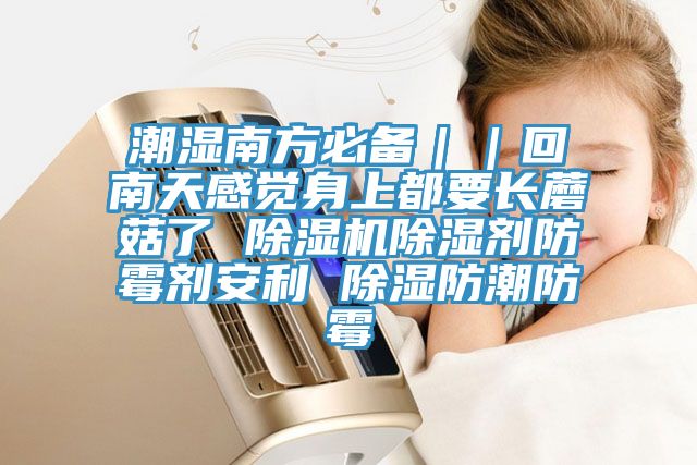 潮濕南方必備｜｜回南天感覺身上都要長蘑菇了 除濕機除濕劑防霉劑安利 除濕防潮防霉