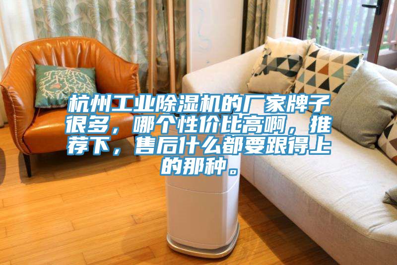 杭州工業(yè)除濕機(jī)的廠家牌子很多，哪個(gè)性價(jià)比高啊，推薦下，售后什么都要跟得上的那種。