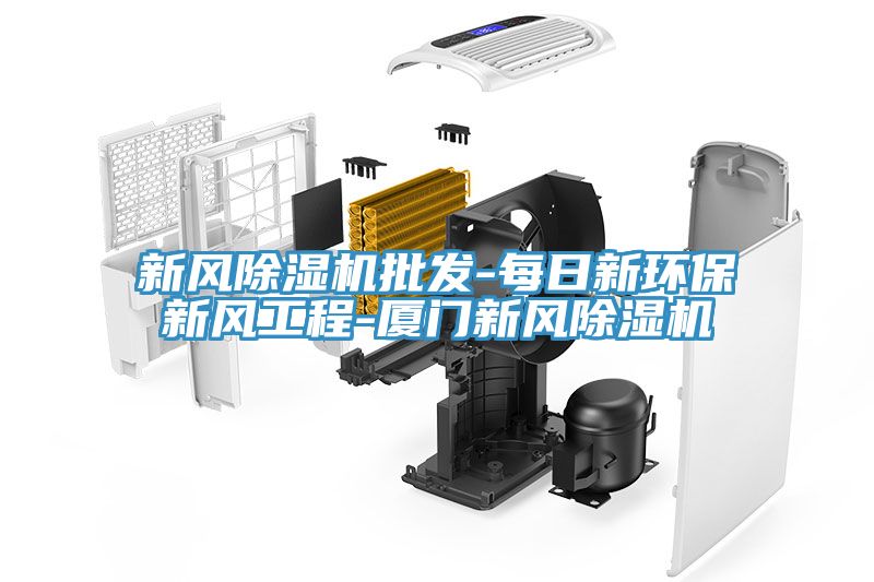 新風(fēng)除濕機(jī)批發(fā)-每日新環(huán)保新風(fēng)工程-廈門(mén)新風(fēng)除濕機(jī)