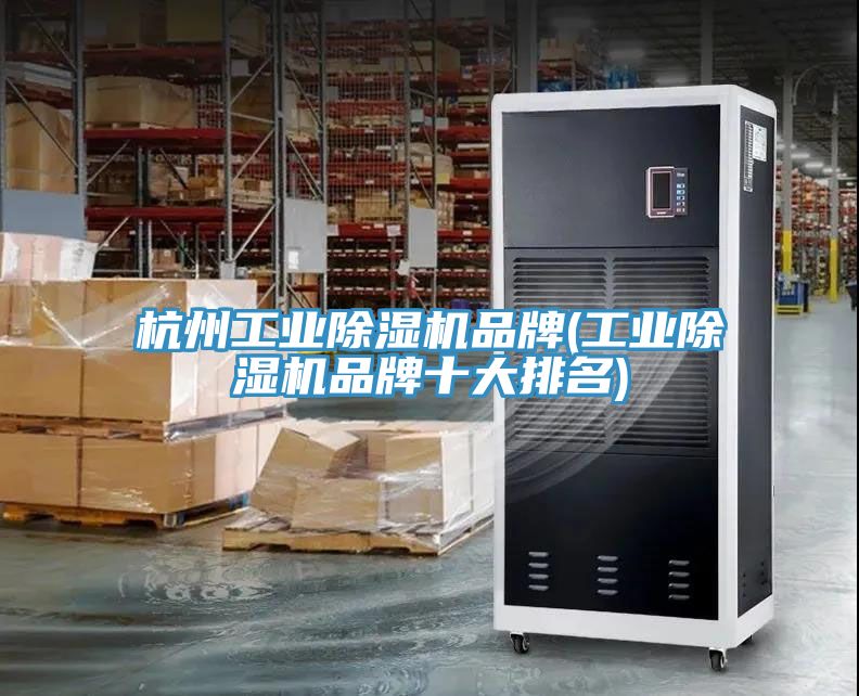 杭州工業(yè)除濕機(jī)品牌(工業(yè)除濕機(jī)品牌十大排名)