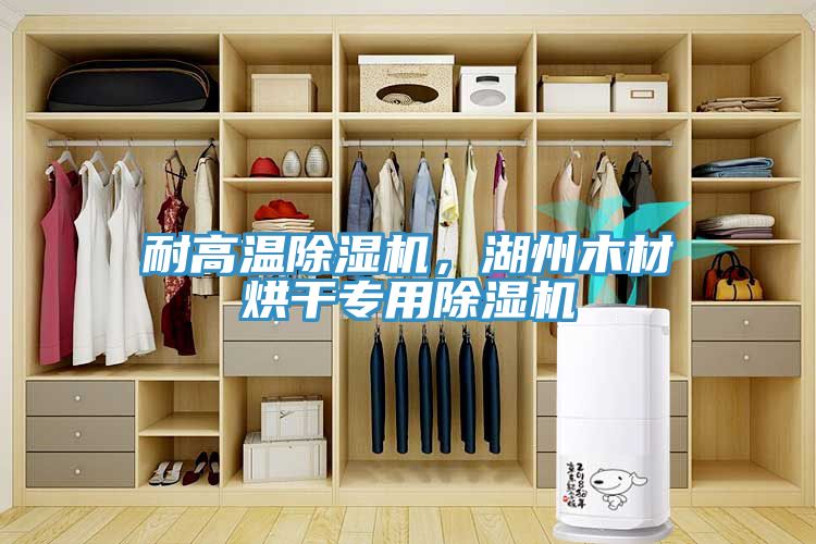 耐高溫除濕機(jī)，湖州木材烘干專用除濕機(jī)