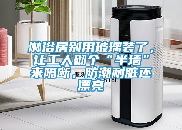 淋浴房別用玻璃裝了，讓工人砌個“半墻”來隔斷，防潮耐臟還漂亮
