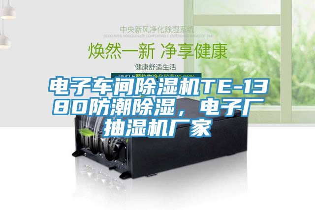 電子車間除濕機TE-138D防潮除濕，電子廠抽濕機廠家