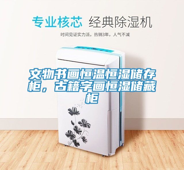 文物書畫恒溫恒濕儲存柜，古籍字畫恒濕儲藏柜