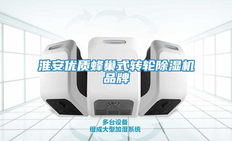 淮安優(yōu)質蜂巢式轉輪除濕機品牌