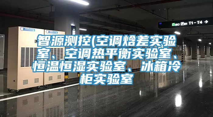 智源測(cè)控(空調(diào)焓差實(shí)驗(yàn)室、空調(diào)熱平衡實(shí)驗(yàn)室、恒溫恒濕實(shí)驗(yàn)室、冰箱冷柜實(shí)驗(yàn)室
