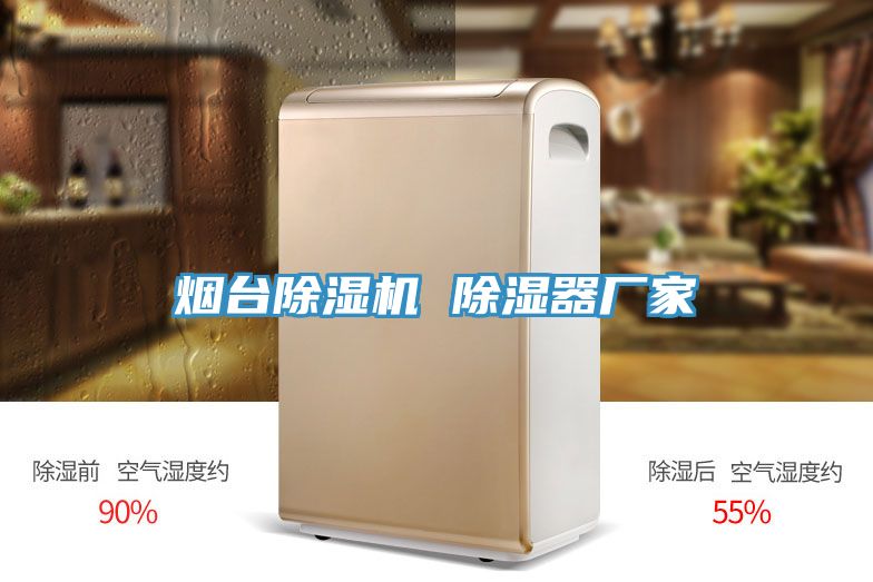 煙臺除濕機 除濕器廠家