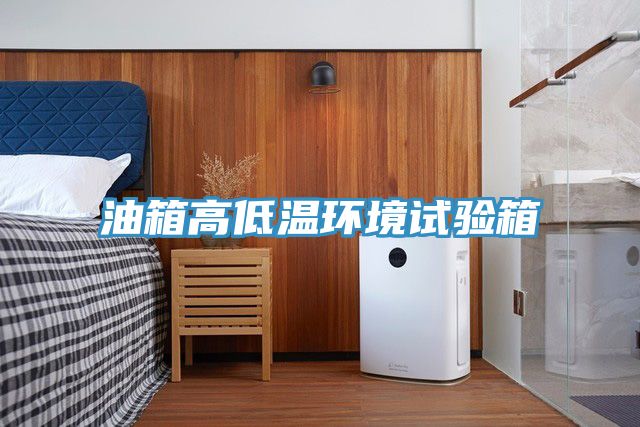 油箱高低溫環(huán)境試驗箱