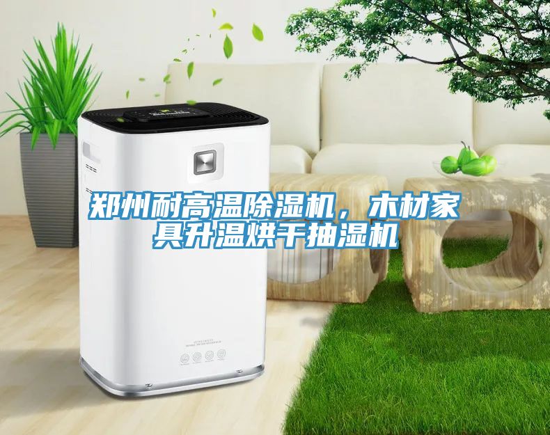 鄭州耐高溫除濕機(jī)，木材家具升溫烘干抽濕機(jī)