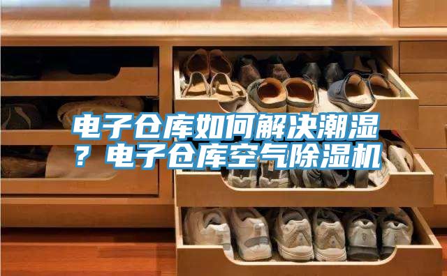 電子倉庫如何解決潮濕？電子倉庫空氣除濕機(jī)
