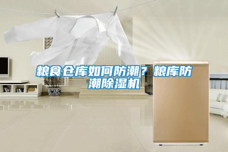 糧食倉庫如何防潮？糧庫防潮除濕機