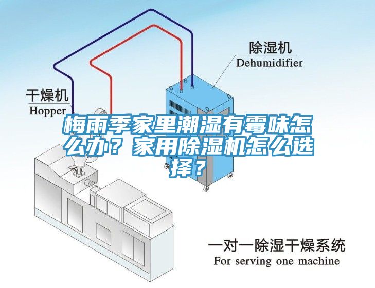 梅雨季家里潮濕有霉味怎么辦？家用除濕機(jī)怎么選擇？