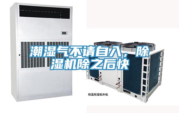 潮濕氣不請自入，除濕機除之后快
