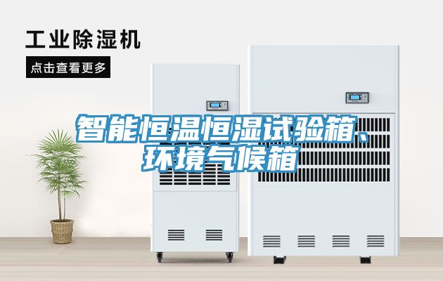 智能恒溫恒濕試驗箱、環(huán)境氣候箱