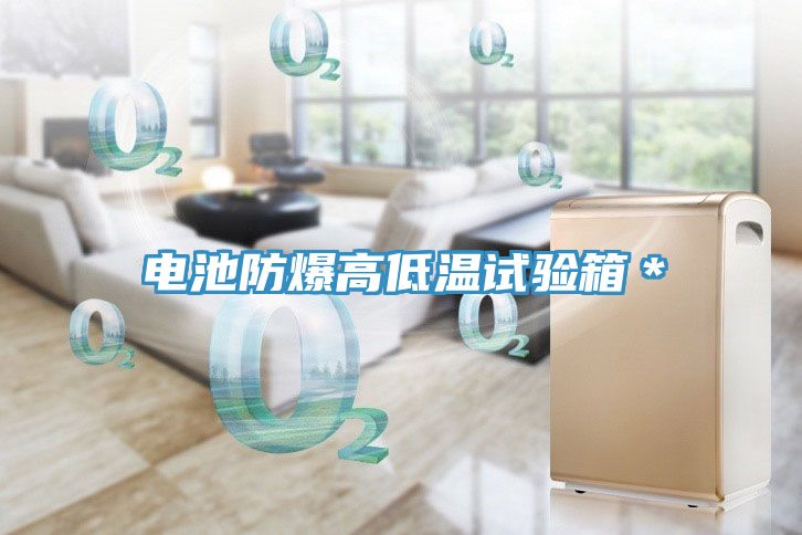 電池防爆高低溫試驗(yàn)箱＊