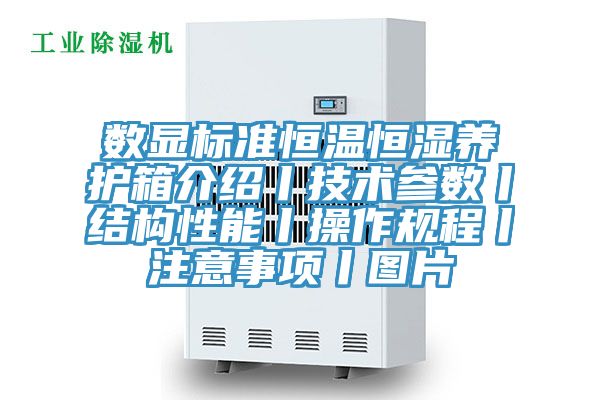 數(shù)顯標準恒溫恒濕養(yǎng)護箱介紹丨技術(shù)參數(shù)丨結(jié)構(gòu)性能丨操作規(guī)程丨注意事項丨圖片