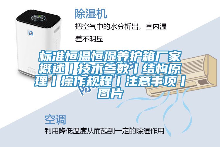 標(biāo)準(zhǔn)恒溫恒濕養(yǎng)護(hù)箱廠家概述丨技術(shù)參數(shù)丨結(jié)構(gòu)原理丨操作規(guī)程丨注意事項(xiàng)丨圖片