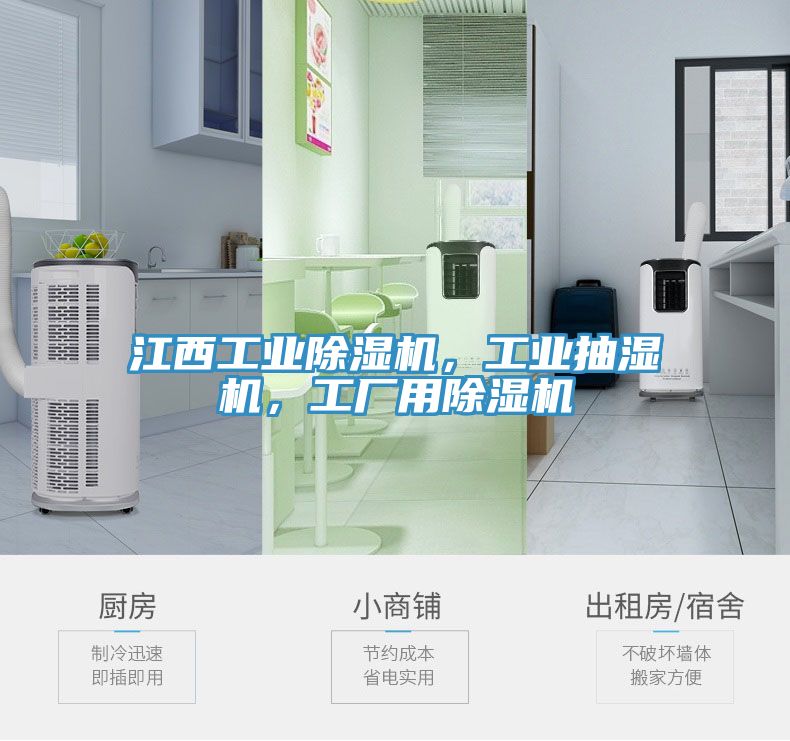 江西工業(yè)除濕機(jī)，工業(yè)抽濕機(jī)，工廠用除濕機(jī)
