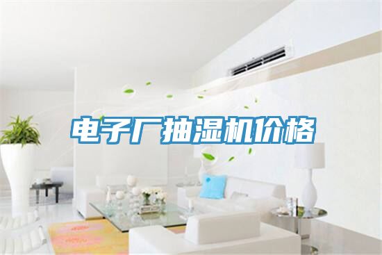 電子廠抽濕機(jī)價(jià)格