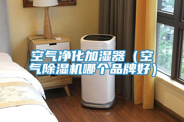 空氣凈化加濕器（空氣除濕機(jī)哪個品牌好）