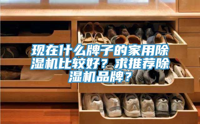 現(xiàn)在什么牌子的家用除濕機(jī)比較好？求推薦除濕機(jī)品牌？