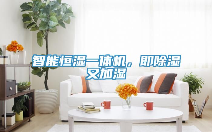 智能恒濕一體機，即除濕又加濕