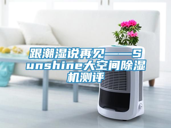 跟潮濕說(shuō)再見(jiàn)——Sunshine大空間除濕機(jī)測(cè)評(píng)