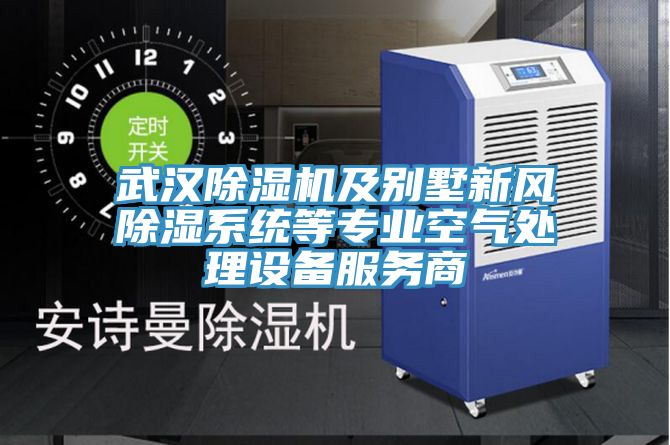 武漢除濕機(jī)及別墅新風(fēng)除濕系統(tǒng)等專業(yè)空氣處理設(shè)備服務(wù)商