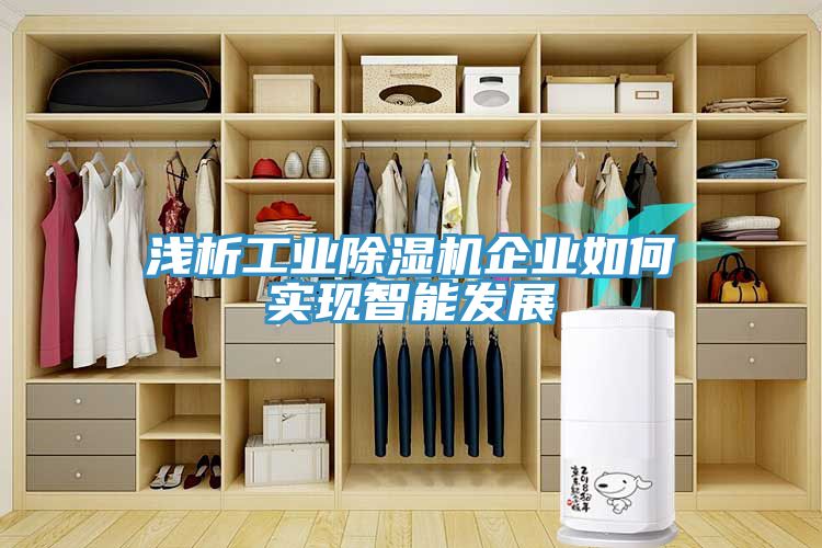 淺析工業(yè)除濕機企業(yè)如何實現(xiàn)智能發(fā)展