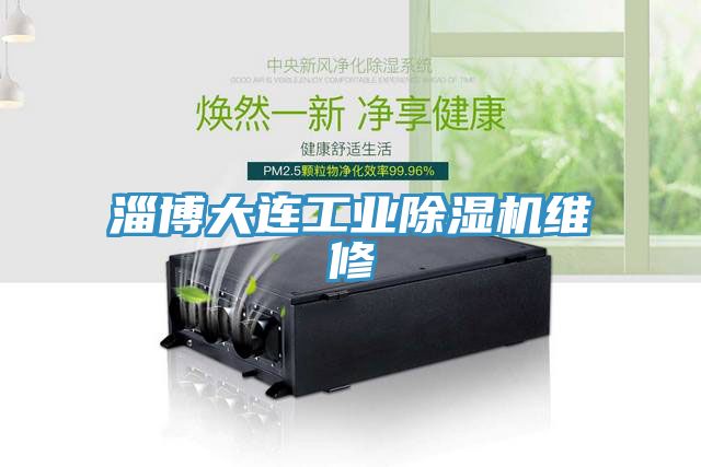 淄博大連工業(yè)除濕機(jī)維修