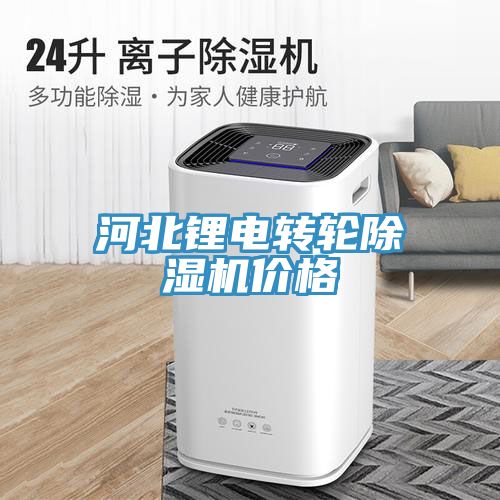 河北鋰電轉(zhuǎn)輪除濕機(jī)價(jià)格