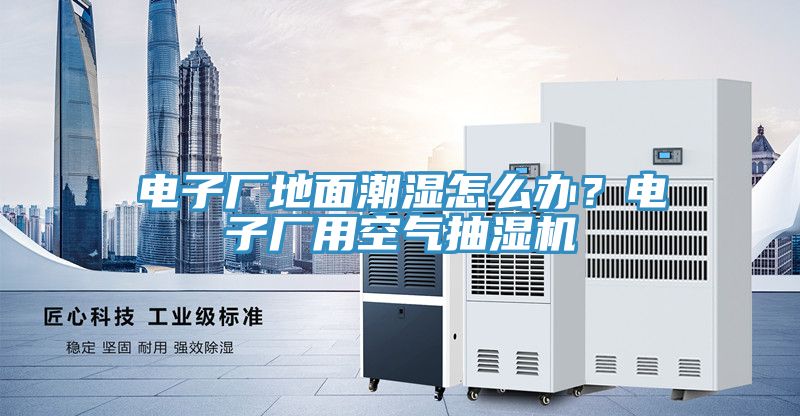 電子廠地面潮濕怎么辦？電子廠用空氣抽濕機(jī)