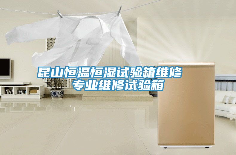 昆山恒溫恒濕試驗(yàn)箱維修  專業(yè)維修試驗(yàn)箱
