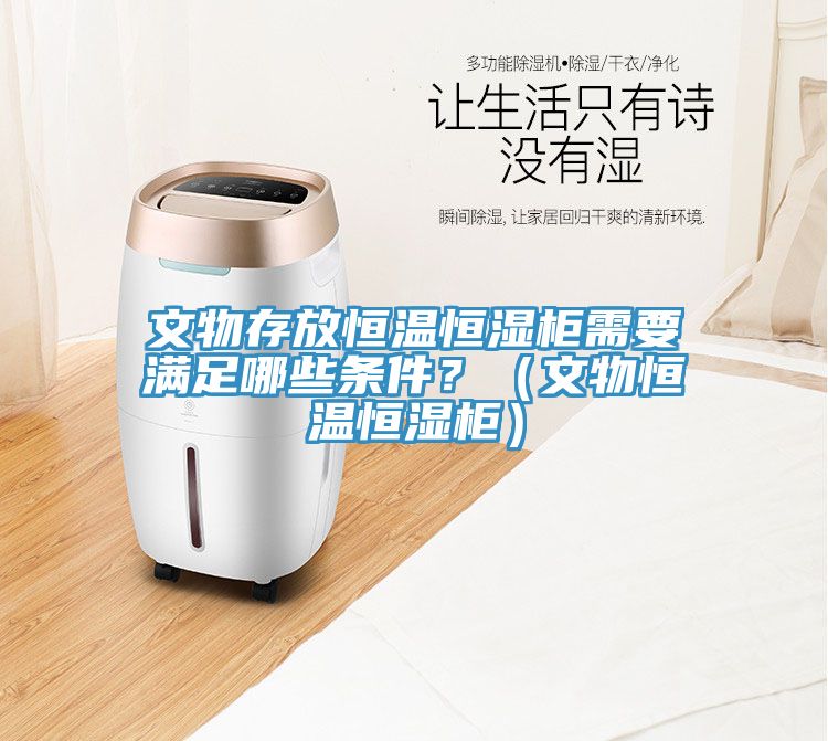文物存放恒溫恒濕柜需要滿足哪些條件？（文物恒溫恒濕柜）
