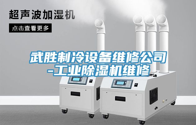武勝制冷設(shè)備維修公司-工業(yè)除濕機(jī)維修