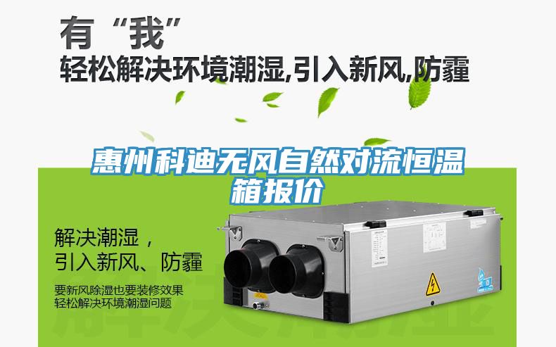 惠州科迪無風自然對流恒溫箱報價