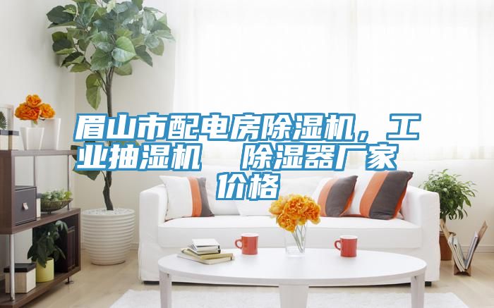 眉山市配電房除濕機(jī)，工業(yè)抽濕機(jī)  除濕器廠家 價(jià)格