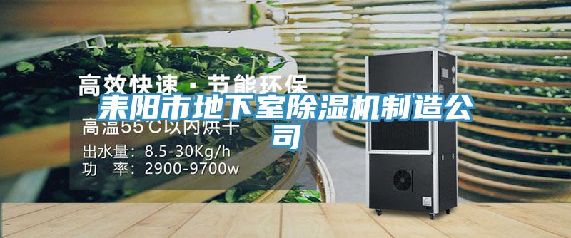 耒陽市地下室除濕機(jī)制造公司