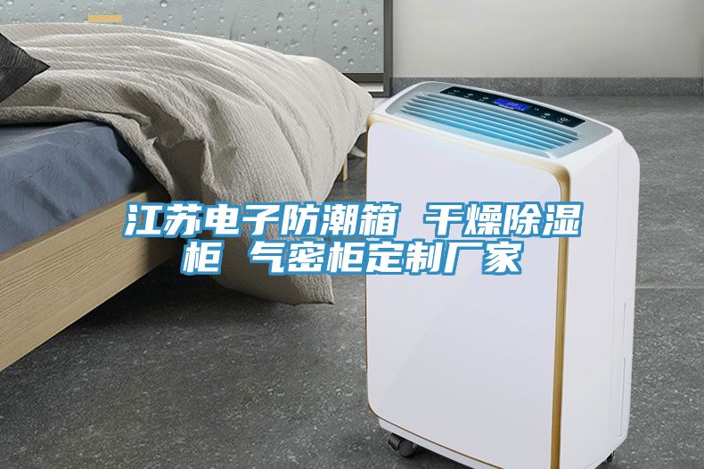 江蘇電子防潮箱 干燥除濕柜 氣密柜定制廠家