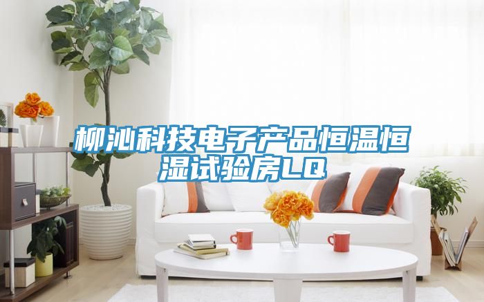 柳沁科技電子產(chǎn)品恒溫恒濕試驗房LQ