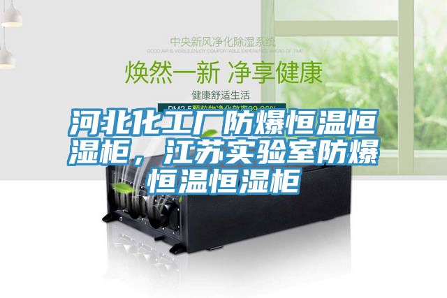 河北化工廠防爆恒溫恒濕柜，江蘇實(shí)驗(yàn)室防爆恒溫恒濕柜