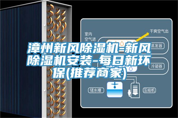 漳州新風(fēng)除濕機-新風(fēng)除濕機安裝-每日新環(huán)保(推薦商家)