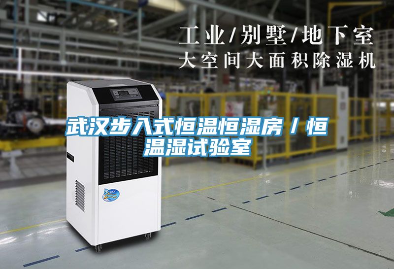 武漢步入式恒溫恒濕房／恒溫濕試驗(yàn)室