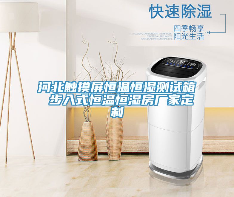 河北觸摸屏恒溫恒濕測(cè)試箱 步入式恒溫恒濕房廠家定制